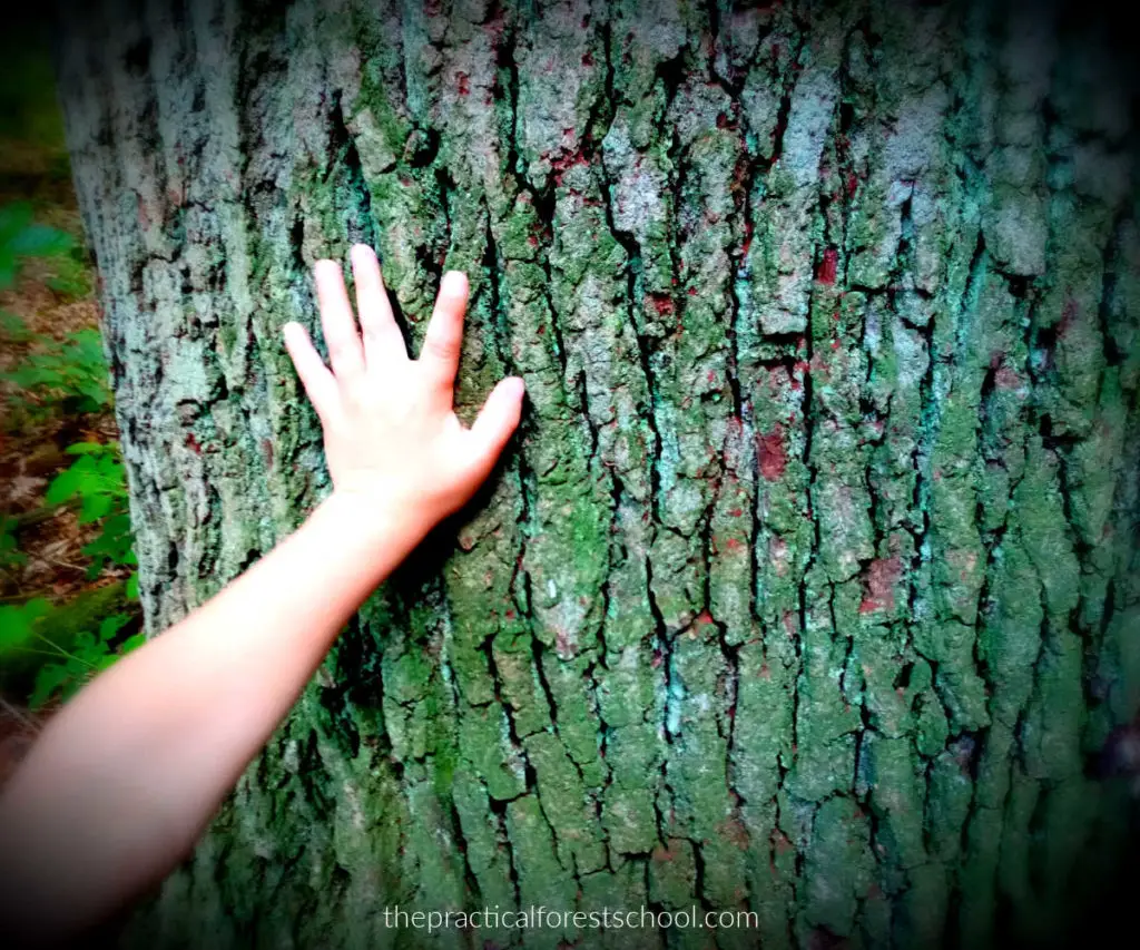 hand on tree