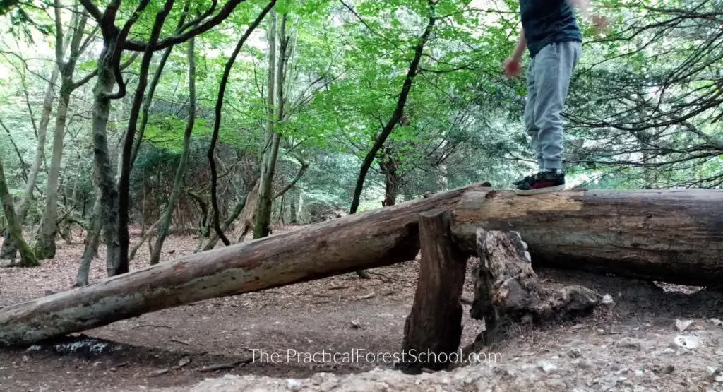 forest school risk assessment