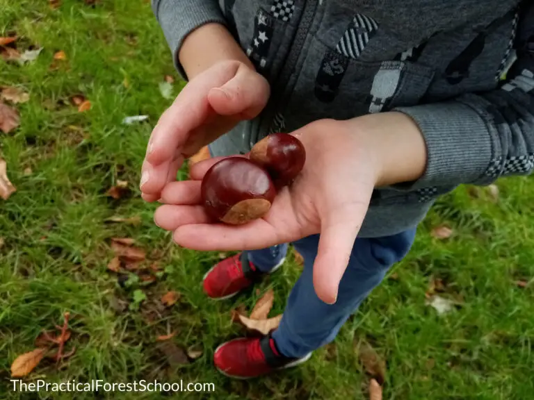 15 Easy Autumn Forest School Activities