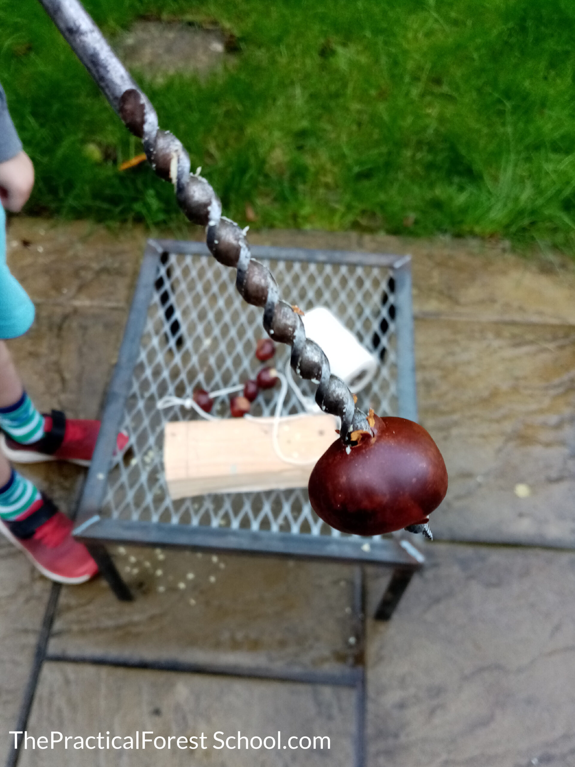 Drilling a hole in a conker