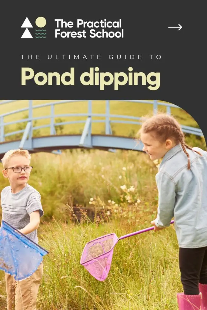 How to go pond dipping