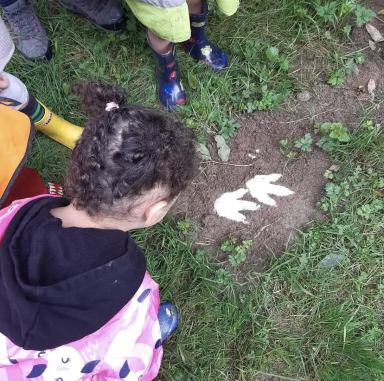 How to Make Animal Tracks and Footprint Trails