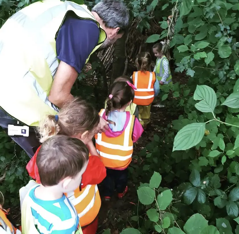 Children in the woods