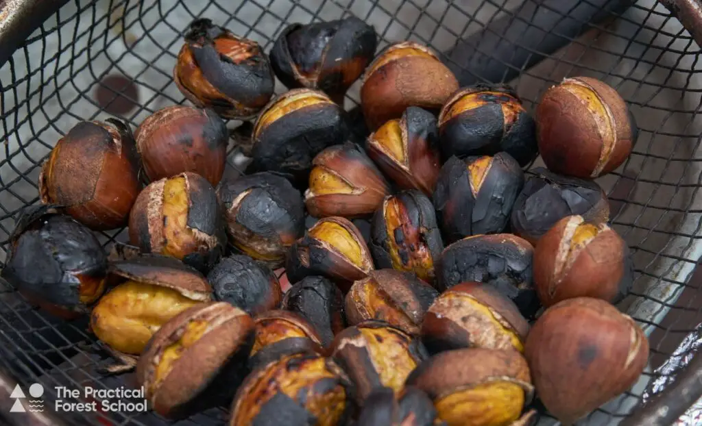 chestnuts 1