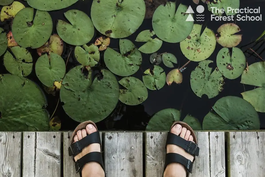 feet on dock above lily pads copy 1