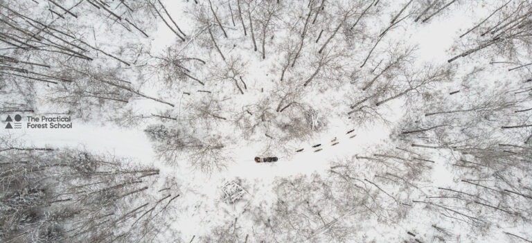 11 Forest School Recipes for Winter