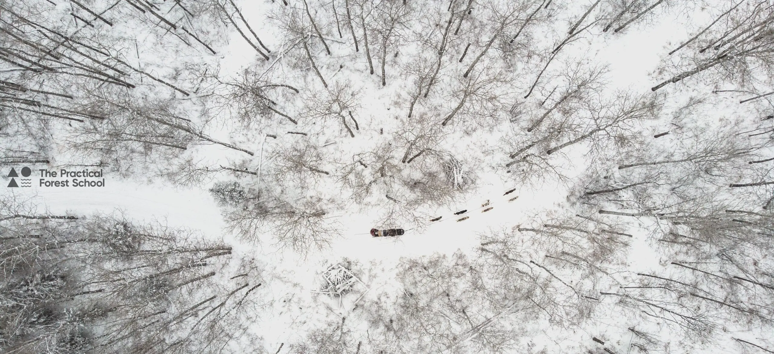 Dog sled from above driving through a snowy landscape