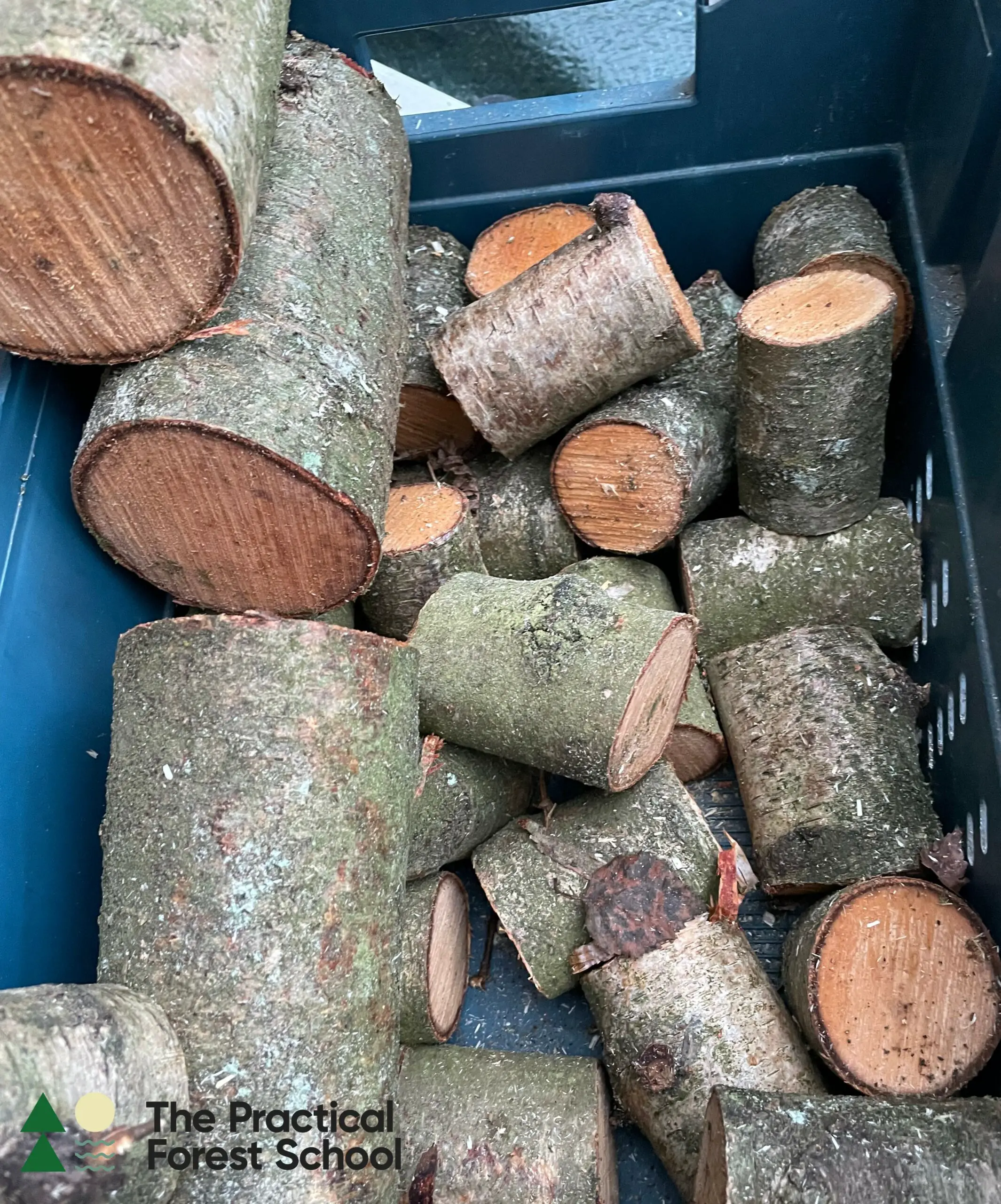 Logs of different sizes in a blue crate