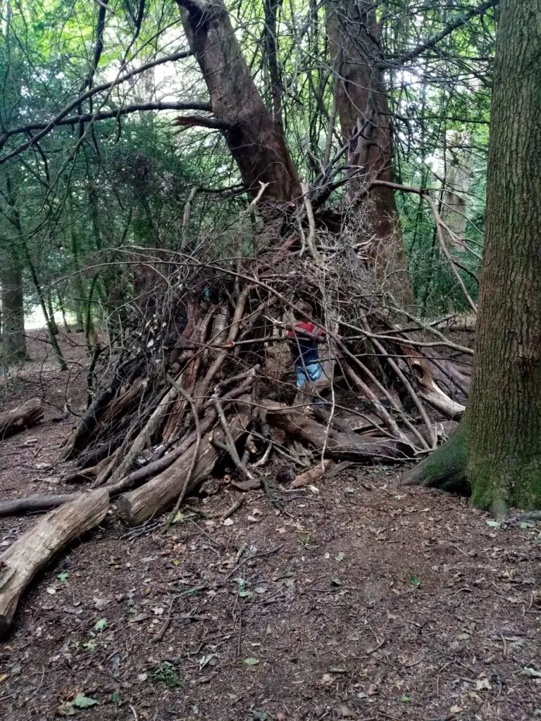 Children playing in a forest den made of logs