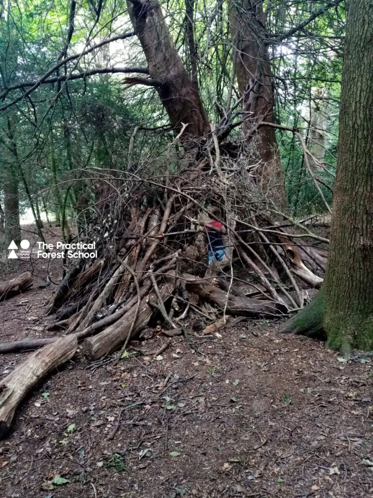 Children playing in a den