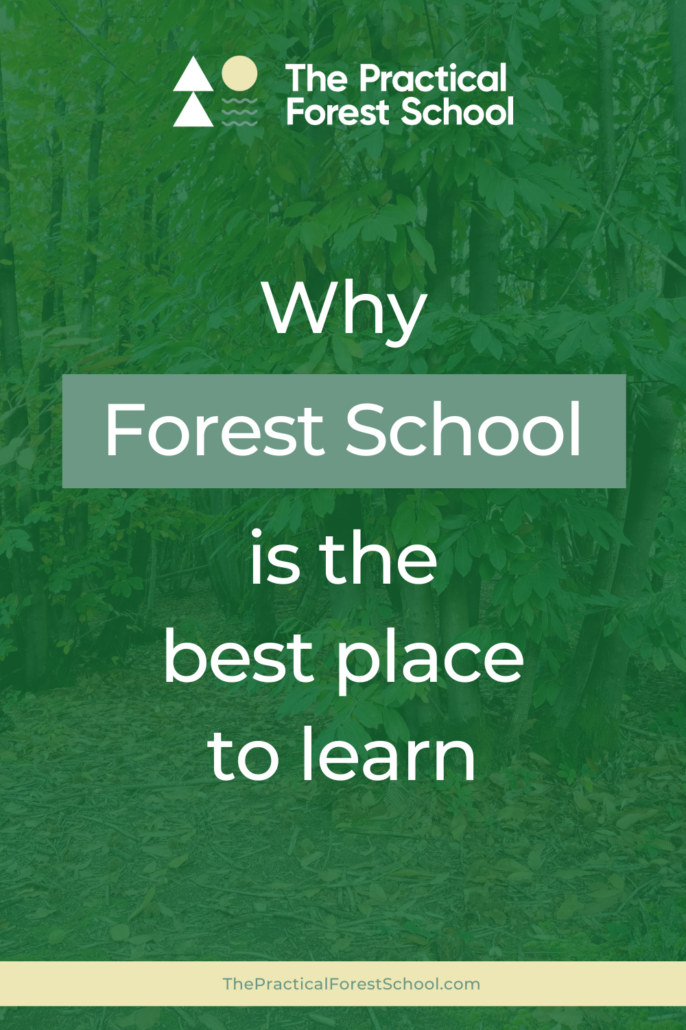 Why forest school is the best place to learn