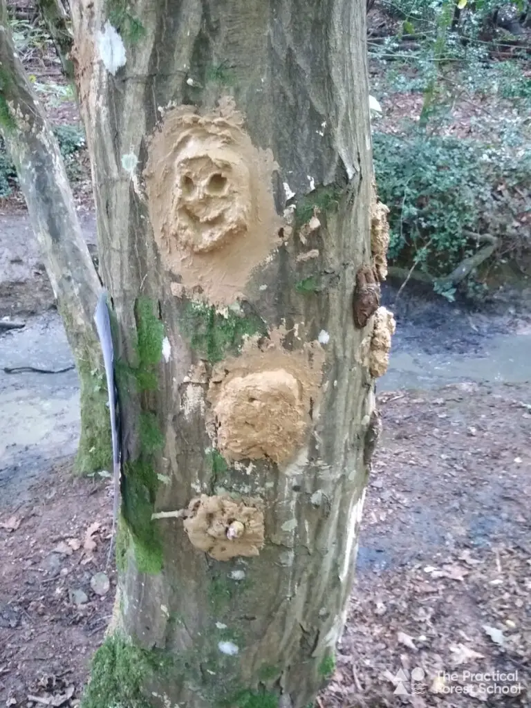 Mud faces on a tree