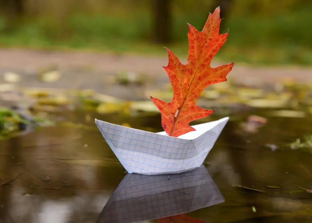 A paper boat with a leaf as a sail