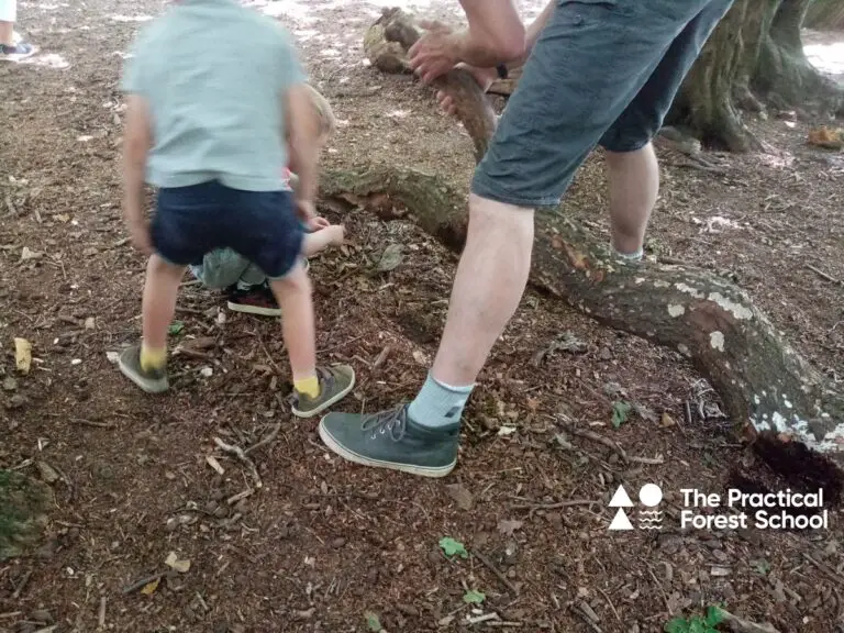 Looking under logs for minibeasts