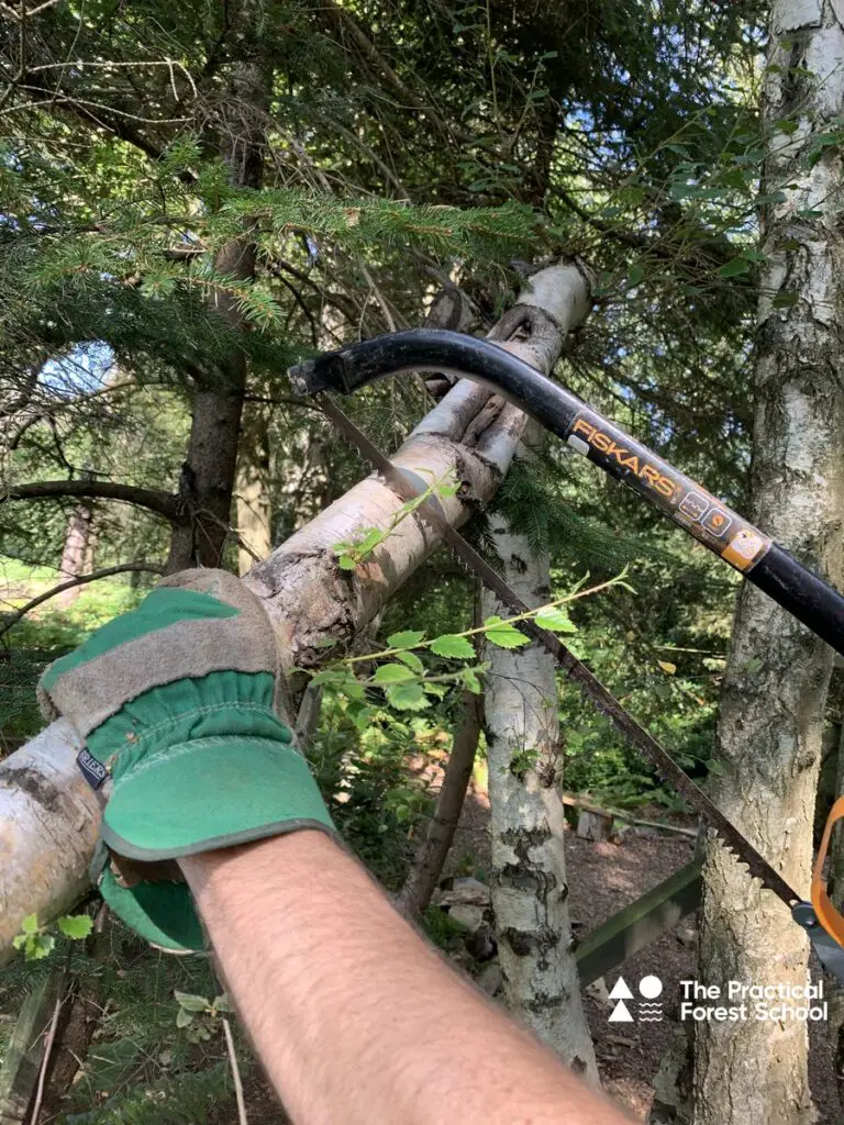 Forest School Equipment: What's Actually in Our Kit Bag 2 hand saw in use on a tree branchh